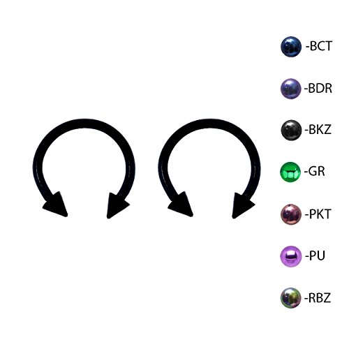 Pair of Titanium Circular Barbell w/Cones Horseshoe Earrings 18-14G