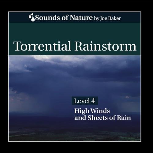 Torrential Rainstorm