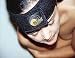 Bioflex Magnetic Headband