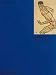 Book Schiele: Colour Library (Phaidon Colour Library)