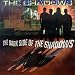Search : Dark Side of the Shadows