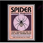 Spider by Yosuke Yamashita