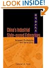 China's Industrial State-Owned Enterprises: Between Profitability and Bankruptcy