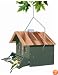 Perky Pet 339 Squirrel Be Gone II Feeder Home with Chimney