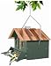 Perky Pet 339 Squirrel Be Gone II Feeder Home with Chimney