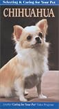 Selecting and Caring For Your Pet Chihuahua