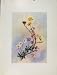 Hippocrepis Dryas Globularia Flowers Plant Sketch Print