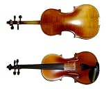 Strauss Student Violin 4/4 with Flamed Back