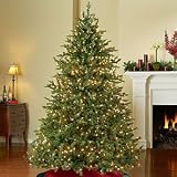 6.5' Downswept Hunter Fir Pre-Lit Artificial Christmas Tree - Clear Lights
