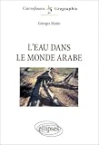 L'Eau dans le monde arabe. Enjeux et conflits