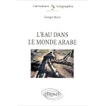L'Eau dans le monde arabe. Enjeux et conflits book cover