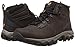 Columbia Men's Newton Ridge Plus II Hiking Boot