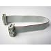 Xtrema Ribbon Cable