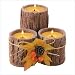 Three Tree Trunk Spicey Wood Scented Candle Set with Fall Leaves Accent - Great for Autumn and Thanksgiving