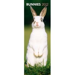 Bunnies 2012