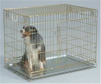 Dog Crate - Gold Side Door/Small