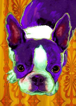 Boston Terrier Art Print on Canvas