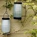 Search : beehive pearl blue lantern
