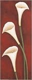 Calla Lilies On Red by Maria Girardi. CANVAS ROLLED. 10.00 inches width by 24.33 inches height. Highest Quality Art Poster Print
