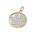 Bark Avenue Jewelers- Pave Paw Print Pendant 14 Karat Yellow Gold Two Tone- Medium