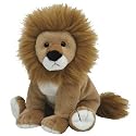 Ty Midas - Lion