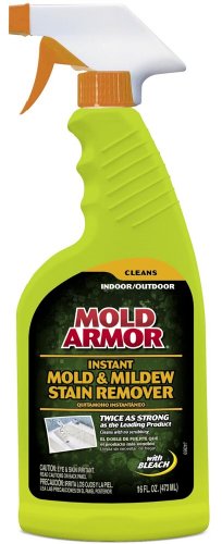 mold removal