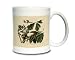 Yellow Billed Cuckoo, Audubon Birds of America, Coffee Mug