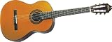 Washburn Classical Series Acoustic Guitar