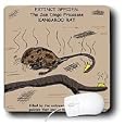 Rich Diesslins Funny General - Editorial Cartoons - San Diego Kangaroo Rat - Extinct - Mouse Pads