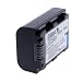 Delamax Qualit�tsakku f�r Sony A290, A390, A230, A330, A380, HX100V, HX1 - Akku Batterie Battery - ersetzt NP-FH50