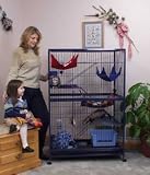 Ferret Mansion