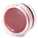 Kiehl's Moisturizing Lip Gloss