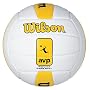 Wilson AVP Replica Game Ball