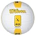 Sporting Goods : Wilson AVP Replica Game Ball