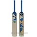 SG Boundry Kashmir Willow Cricket Bat
