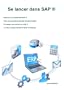 Se lancer dans SAP �