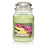 Yankee Candle Housewarmer 14.5oz Pineapple Cilantro