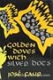Golden Doves With Silver Dots: Semiotics and Textuality in Rabbinic Tradition (Jewish Literature and Culture)