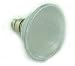 LED Light bulb, PAR38 60LED 110V White