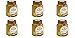 Breitsamer Acacia Honey Jar, 17.6 Ounce (Pack of 6)