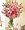 Mixed Pinks Refreshing Flower Bouquet, Premium