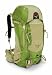 Osprey Kestrel 38  Backpack (Lichen ,Medium/Large)
