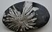 Chrysanthemum Stone