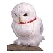 Owl Lovers