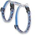 LupinePet 1/2" Muddy Paws 12-20 H-Style Pet Harness