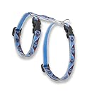 LupinePet 1/2" Muddy Paws 12-20 H-Style Pet Harness