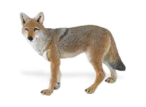 Cheap Wild Safari Coyote