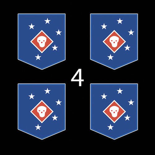 Marines USMC 1st MAC Raider Battalion SSI 3