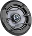 DB Drive PT5.0 Platinum 5.25-Inch Coaxial Speaker
