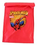 Marvel Heroes character reuseable lunch bag- Spiderman lunch bag